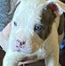 Jamie Chastain - Facebook
