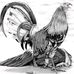 Jaime Chavez - Facebook