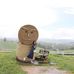 Jamie Cheng - Facebook
