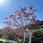 Jamie Chiang Lin - @chiang2375 - Instagram