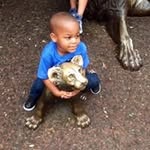 Jamie Chisolm - @jayj8155 - Instagram