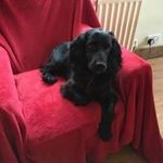Jamie Chitty - @jamie.chitty - Instagram