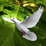 Jaime Cisneros - Facebook