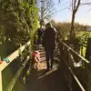 jamieclifton175 - @jamieclifton175 - TikTok