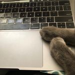 Jamie Connor - @jmeconnor - Instagram