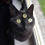 Jamie Connor - @sicksadworldsausage1 - Instagram