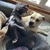 Jamie Cotten - Facebook