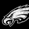 Eagles_Fan_For_Life - @jamiecrouse4 - TikTok