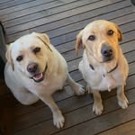 Jamie Cue - @cue.jamie - Instagram
