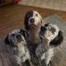 Jamie Johnson - Facebook
