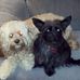 Jamie Dagg - Facebook
