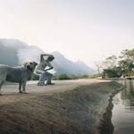 JamieDanger - @floatingmonkeyguru - Instagram
