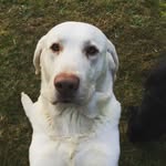 Jamie - @jamiedearden2002 - Instagram