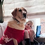 Jamie Demeter - @jamiestl00 - Instagram