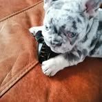 Jamie Dempsey - Facebook