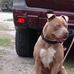 Jamie Denson - Facebook