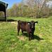 Jamie Denson - Facebook