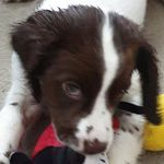 Jamie Devitt - @j4m1e23 - Instagram