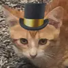 Jamie - @jamiedoesntmeow - TikTok