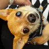jamiedoesmatcha - @jamiedoesmatcha - TikTok