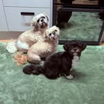 Jamie Donald - @jamie.donald.9085 - Instagram