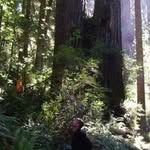 Jamie Dotson - @funguyintheforest - Instagram