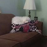 Jamie Doty - @jamie41391 - Instagram