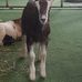 Jamie Dowd - Facebook