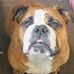 Jamie Dowd - Facebook