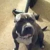 Jamie Drayton - @jamie.drayton1 - TikTok