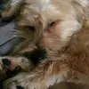 Jamie Duggan - @jamie.duggan7 - TikTok