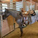 Jamie Dumas - @jdumas_indiancreekranch - Instagram