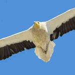Jamie Alan Eagle - @jamieeagle1 - Instagram
