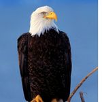 Jamie Eagle - @eagle_jamie - Instagram