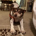 Jamie Easterwood McCasland - @lulu_loses_it_25 - Instagram