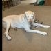 Jamie Eichholz - Facebook