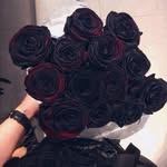Edelmann Jamie - @edelmannjamie_4469 - Instagram
