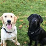 Jamie Egan - @jmiiegan - Instagram