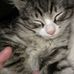 Jamie Eggers - Facebook