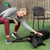 Jamie Beichler - @jamiebeichler - TikTok