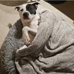 Jamie Eichler-Falcone - @jamie.lynn114 - Instagram