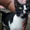 Jamie.Ellison - @wittijtw2bs - TikTok