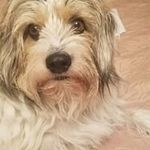 jamie elmore mabe - @jamieelmoremabe - Instagram