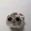 jamieelmore7 - @alt.acc352 - TikTok