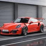 Jamie - @rescue.jamie - Instagram