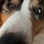 Jamie Everson - @dairywoman04 - Instagram