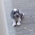 Jamie Farrington - @lzlilllillz - Instagram