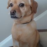 Jamie Fellows - @jamiefellows - Instagram