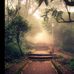 Jamie Finlayson - Facebook