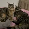 jamieflood503 - @jamieflood503 - TikTok